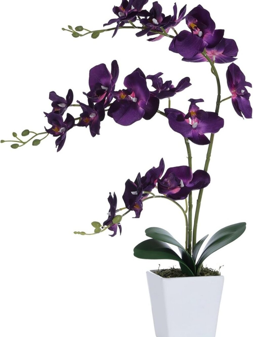 Elegant 22" Dark Purple Faux Orchid in Ceramic Vase - Stunning Table Décor